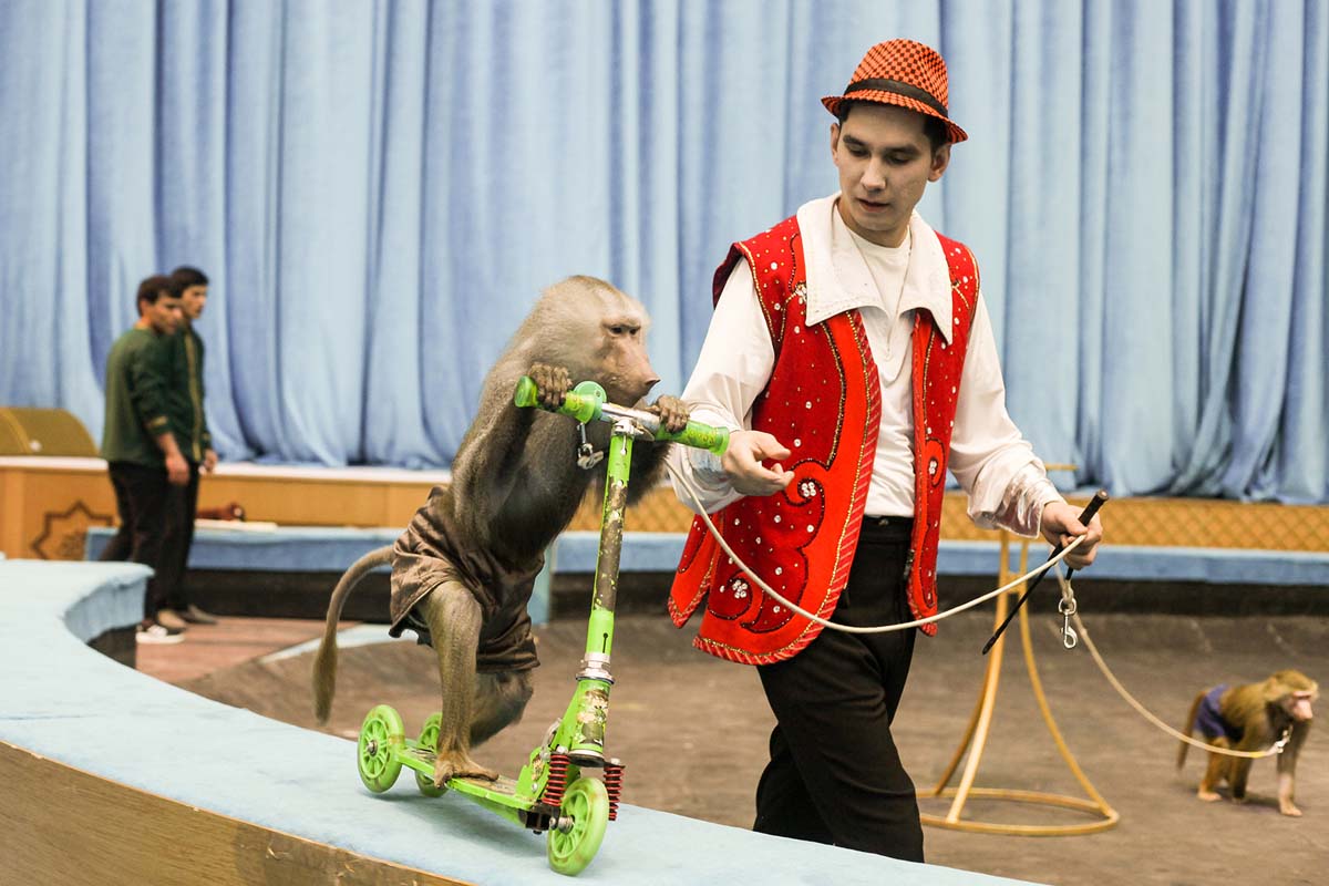 Equestrian group "Galkynysh" performed in the Balkan velayat